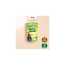 Organik Glutensiz Vegan Muzlu Mini Küpler 30 Gr