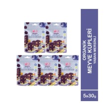OG 5'li Organik Yaban Mersinli Meyve Küpleri (5 x 30 Gr)