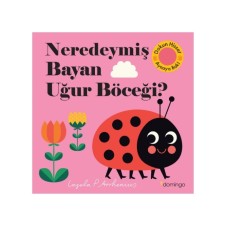 Domingo Neredeymiş Bayan Uğur Böceği? - (Dokun - Hisset - Aynaya Bak!)